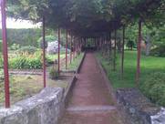 Garten auf den Azoren